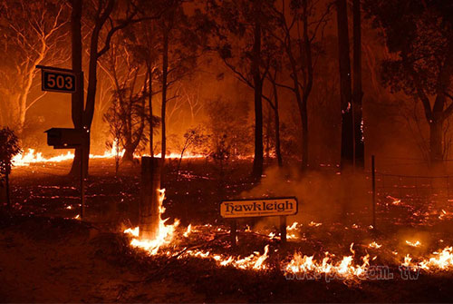 Australian-bushfires_0113_1.jpg