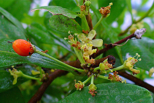 coca_0219_4.jpg