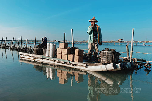 Oyster_1208_6.jpg