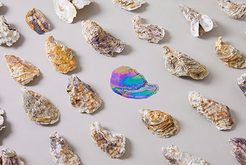 Oyster_1208_7.jpg