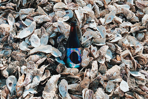 Oyster_1208_8.jpg
