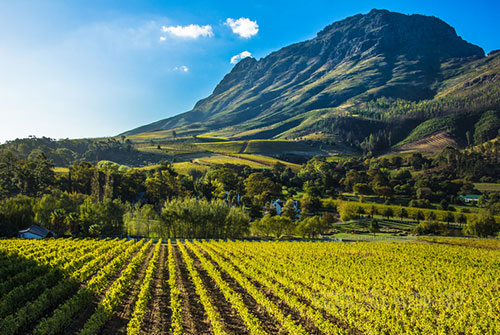 South-Africa-_0607_2.jpg