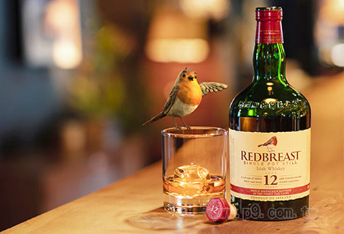 20211231_Robin_1.jpg
