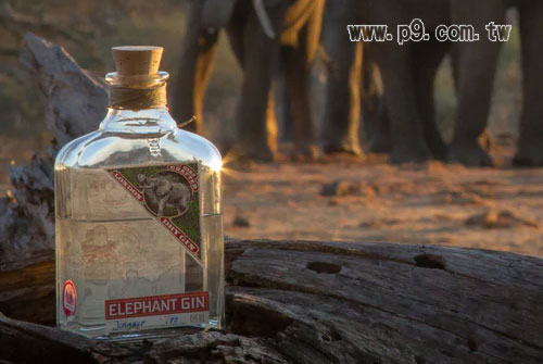 0325_elephant_1.jpg