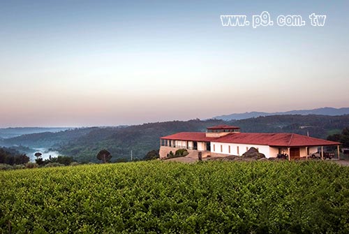 0919_redwine_1.jpg