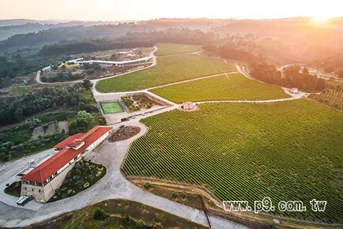 0919_redwine_2.jpg