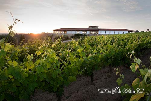 0919_redwine_3.jpg