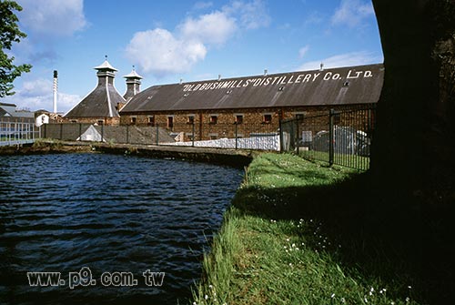 1109_bushmill_2.jpg
