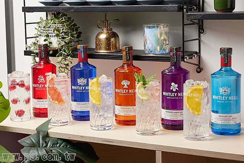 20221121_GIN_1.jpg