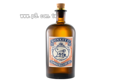0215_monkey47_1.jpg