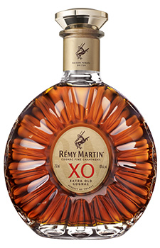 1008_remy_3.jpg