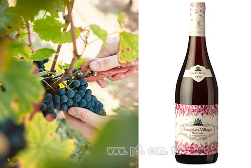 1015_wine_2.jpg