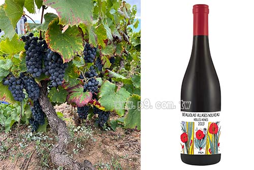 1015_wine_3.jpg