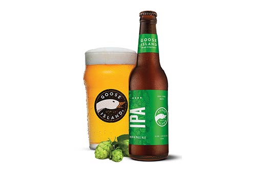 0314_Goose_1.jpg