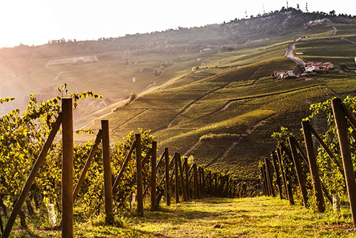 0520_Tenuta_3.jpg