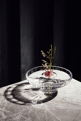 1127_cog_3.jpg