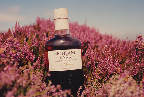 1204_HIGHLAND_2.jpg