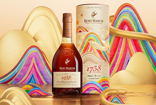 0116_remy_4.jpg