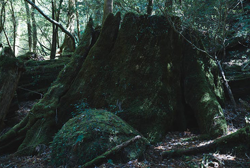 0422_Komaki Whisky_2.jpg