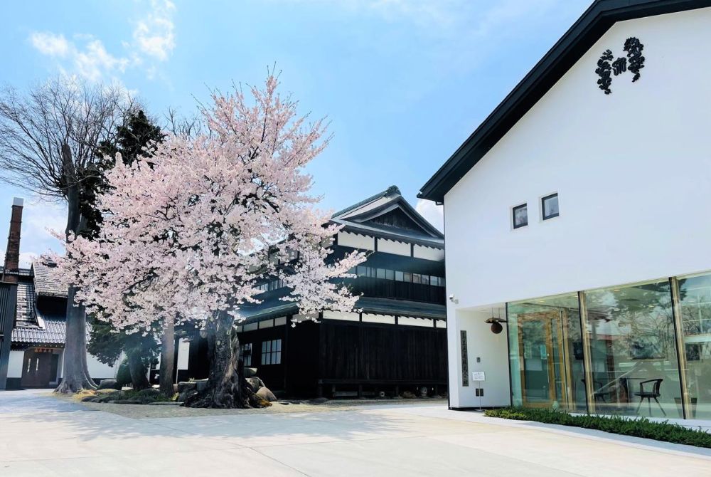 _台灣唯一指定！飛花落院年度清酒祭 攜手「十四代」打造一期一會山中盛宴 (1).jpg