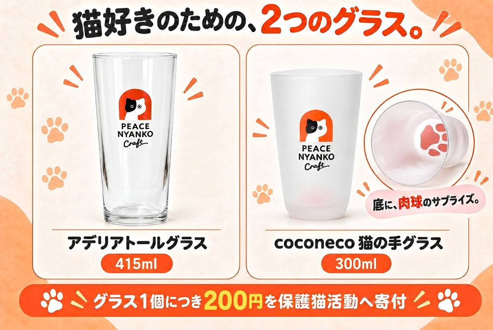 20260929_喝啤酒也能救流浪貓！浪貓支援精釀第二彈募資中2.jpg