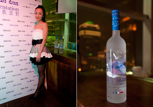 Grey-Goose0217-7.jpg