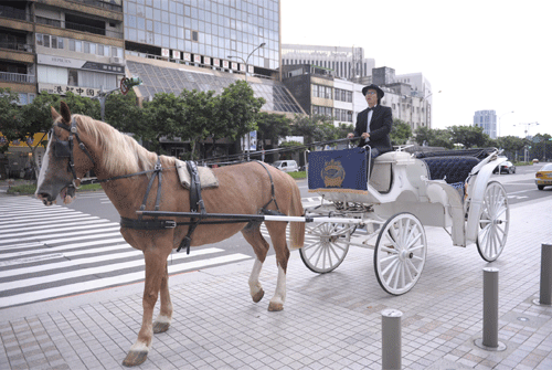 ROYAL_0818.gif