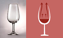 Medoc_0923.jpg