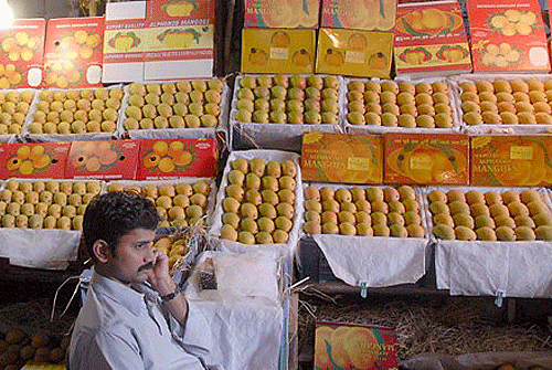 mangoes_0901_1.gif