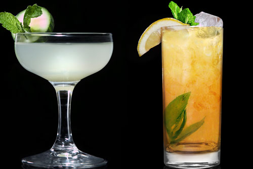 Moonshine_1116_4.jpg